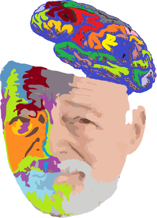 music and the adult brain